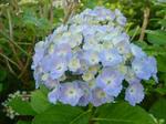c93f4a23.jpg