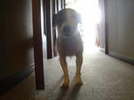 DSC00745.jpg