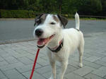 DSC01104.jpg