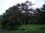 65f86e22.jpg