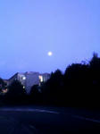080912_1810~002.jpg