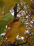 PB090011K.jpg