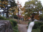 8aa07f21.jpg