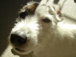 DSC07886luke.jpg