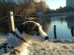 DSC08056luke.jpg