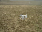 DSC08083lulu.jpg