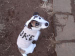 P1240011lulu.jpg