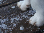 P1250003hiehie.jpg