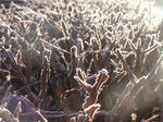 P1250007hiehie.jpg