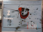 P2020017setubunn.jpg
