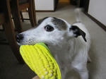 IMG_0164toy.jpg