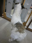 IMG_0269haruka.jpg