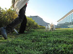 IMG_0410sotugyou.jpg