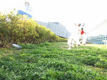 IMG_0411sotugyou.jpg