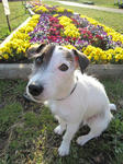 IMG_0518hana.jpg