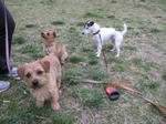 IMG_0579tomo.jpg