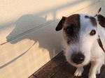 P3270010asinaga.jpg
