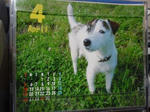 P40100034gatu.jpg
