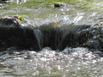 IMG_0993neguse.jpg