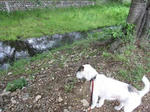 IMG_1212renkyu.jpg