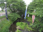 IMG_1213renkyu.jpg