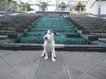 IMG_1254tanjou.jpg