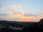 IMG_1451ajisai.jpg