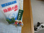 IMG_1625wajima.jpg