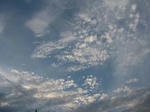 IMG_1979asasanpo.jpg