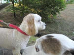 IMG_2037asa.jpg