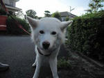 IMG_2039asa.jpg