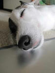 IMG_2046asa.jpg