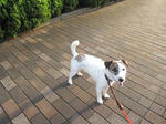 IMG_2173newmat.jpg