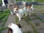 IMG_2189sora.jpg