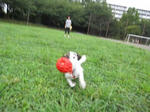 IMG_2253maturi1.jpg