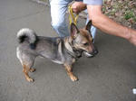 IMG_2308sibanana.jpg