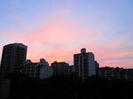 IMG_2317sibanana.jpg