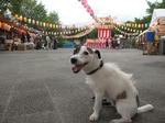 IMG_2337bonodori.jpg