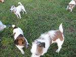 IMG_2658long1.jpg