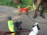 IMG_2661long2.jpg
