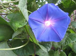 IMG_2671long4.jpg