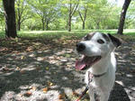 IMG_2687long5.jpg