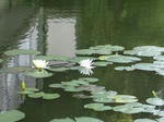 IMG_2692long6.jpg