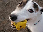 P7300092myball.jpg