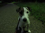 IMG_2716night.jpg