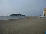IMG_2971kosigoe.jpg