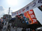 IMG_2973kosigoe.jpg