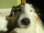 DSC07931rerere2.jpg