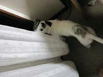 IMG_3645nozoki.jpg
