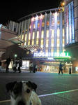 IMG_3725junbi.jpg